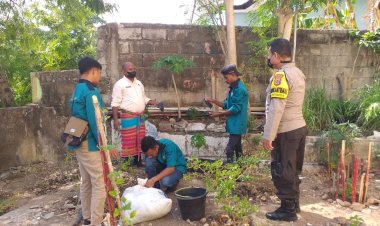 Bhabinkamtibmas-Fatufeto-Bersama-Mahasiwa-Lakukan-Penanaman-Bibit-Kelor