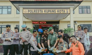 Polresta-Kupang-Kota-Musnahkan-Hasil-Sitaan-Operasi-