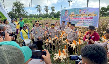 Wakapolresta-Kupang-Kota-Hadiri-Panen-dan-Tanam-Jagung-Bersama-Kapolda-NTT