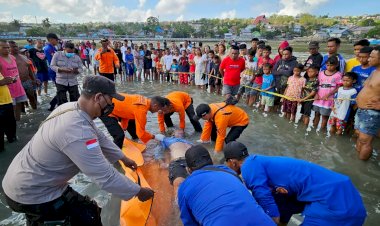 Piket-Polsek-Alak-Evakuasi-Mayat-WNA-Yang-Ditemukan-Mengapung-di-Pantai-Namosain.