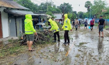 Respon-Cepat-Polresta-Kupang-Kota-Evakuasi-Pohon-Tumbang-di-Jalan-Alfons-Nisnoni-Alak.