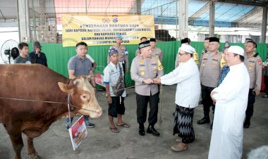 Dukung-Acara-Guru-Sekumpul,-Kapolri-Berikan-Empat-Ekor-Sapi-Limousin