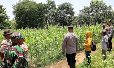 Tinjau-Pemanfaatan-Lahan-Pekarangan-Rumah,-Kapolresta-Kupang-Kota-Apresiasi-Kelompok-Tani-di-Oenunu-Kelurahan-Batuplat.