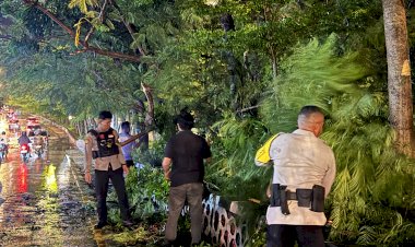Gercep-Piket-SPKT-Amankan-Pohon-Tumbang-Depan-Kantor-Golkar-Dan-Arus-Lalulintas-Kembali-Normal