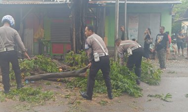 Satlantas-Polresta-Bantu-Atasi-Pohon-Tumbang,-Akses-Jalan-Amabi-Oebufu-Kembali-Dibuka.