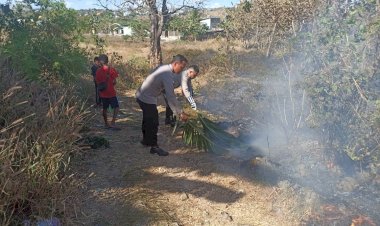 Aksi-Sigap-Polsek-Maulafa-Padamkan-Api-di-Lahan-Kosong-Jalur-40