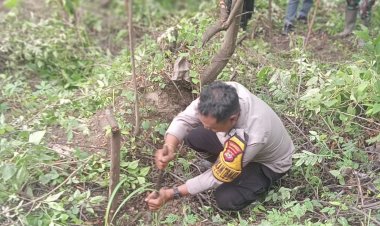 Bhabinkamtibmas-Liliba-Ikut-Gotong-Royong,-Siapkan-350-Lubang-untuk-Penanaman-Pohon-di-Bantaran-Kali.