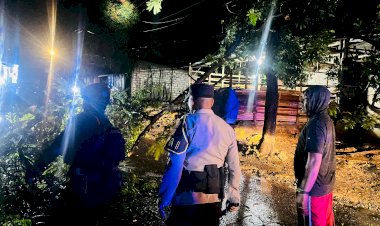 Respons-Cepat-Polresta-Kupang-Kota-Tangani-Pohon-Tumbang-Saat-Patroli-Malam