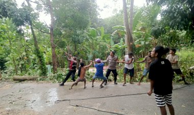 Bhabinkamtibmas-Bakunase-Bantu-Evakuasi-Pohon-Tumbang-Yang-Menimpa-Rumah-Warga