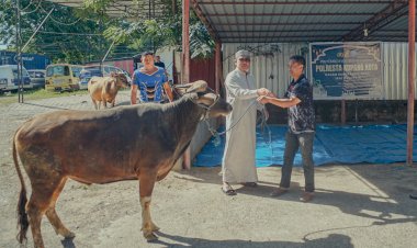 Sambut-Idul-Adha-1447-H,-Polresta-Kupang-Kota-Sembelih-4-Sapi-dan-2-Kambing-untuk-Tingkatkan-Kepedulian-Sosial.