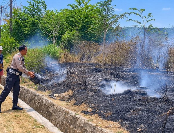 Sinergi Polisi, Warga dan Damkar: Api di Lahan Kosong Naimata Berhasil Dipadamkan.
