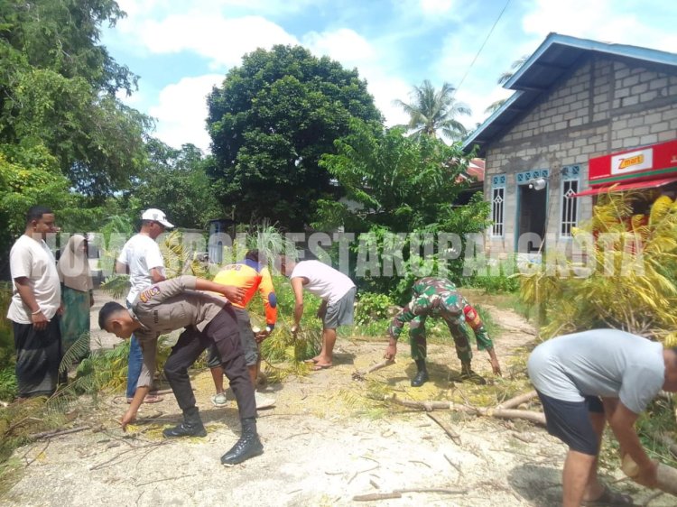 Pohon Tumbang di Nunbaun Sabu, Personel Polresta Bersama Tim Posko Siaga Bencana Lakukan Pembersihan di Lokasi
