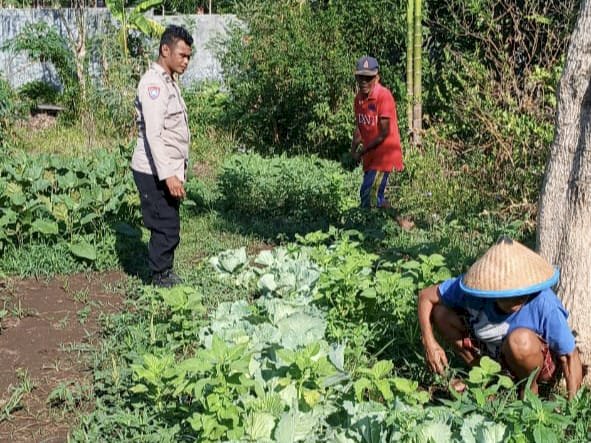 Bhabinkamtibmas Oebufu Inisiasi Program Ketahanan Pangan Melalui Pemanfaatan Lahan Pekarangan