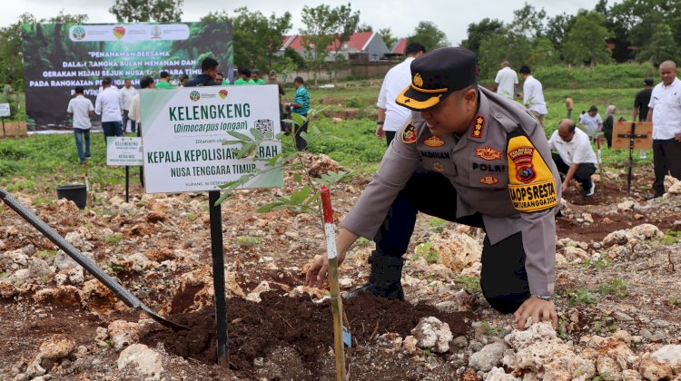 Wujudkan Gerakan Hijau Sejuk Nusa Tenggara Timur-Ku, Kapolresta Kupang Kota Berpartisipasi Dalam Penanaman Tanaman Produktif