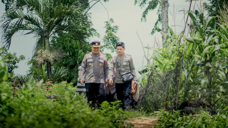 Kapolresta Kupang Kota Tinjau Tanaman Jagung di Naioni, Warga Berharap Hasil Panen Meningkat.