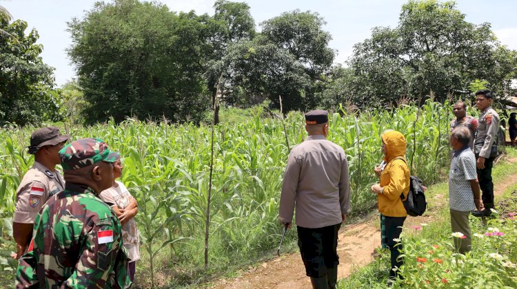 Tinjau Pemanfaatan Lahan Pekarangan Rumah, Kapolresta Kupang Kota Apresiasi Kelompok Tani di Oenunu Kelurahan Batuplat.