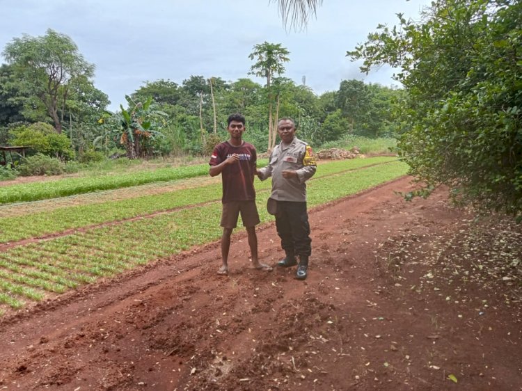 Bhabinkamtibmas Fatukoa Berikan Dukungan dalam Peningkatan Produksi Pangan Warga