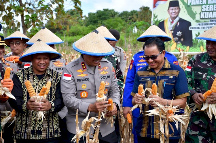 Kapolda NTT Pimpin Panen Raya Jagung Serentak, Dorong NTT Jadi Lumbung Pangan Nasional