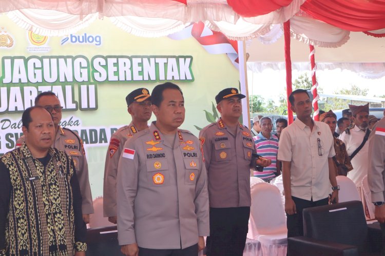 Hasilkan Total 66,7 Ton, Kapolresta Kupang Kota Hadir Dalam Panen Raya Jagung di Baumata Utara.
