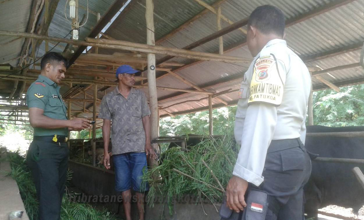 Antisipasi Pencurian Hewan Bhabinkamtibmas Kelurahan Fatukoa Sambangi Kandang Ternak Warga